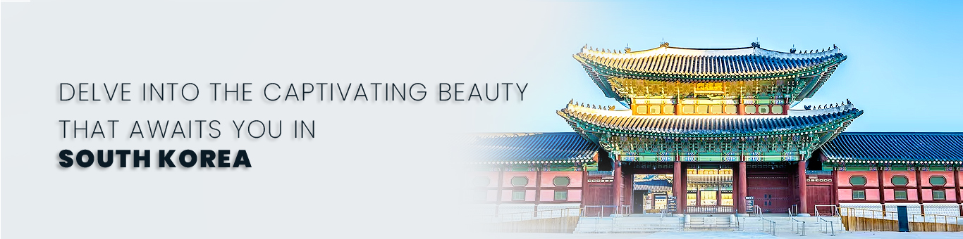 Delve into the captivating beauty that awaits you in South Korea